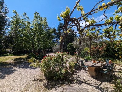 Holiday house Mas la vieille Vigne - Outdoor photo 5