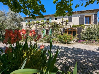 Holiday house Mas la vieille Vigne - Outdoor photo 7