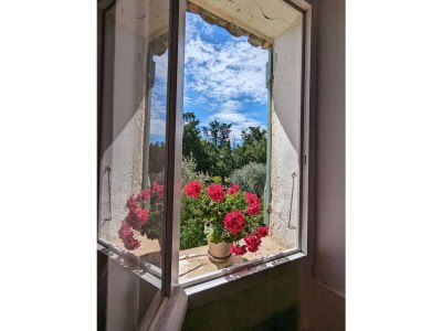 Holiday house Mas la vieille Vigne - Features photo 33