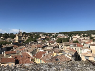 Holiday house Mas la vieille Vigne - Environment photo 35