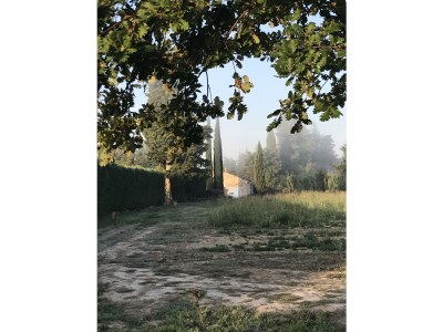 Holiday house Mas la vieille Vigne - Environment photo 36