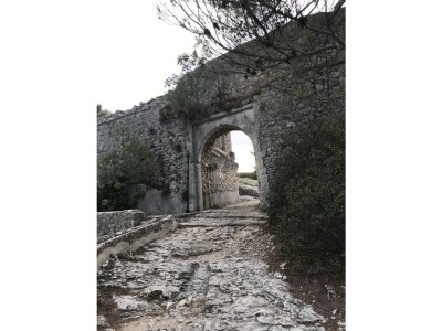 Holiday house Mas la vieille Vigne - Environment photo 37