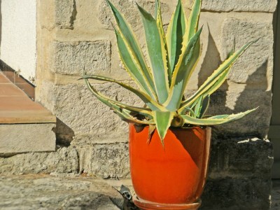 Villa Villa in Crillon-le-Brave am Mont Ventoux - Outdoor photo 40