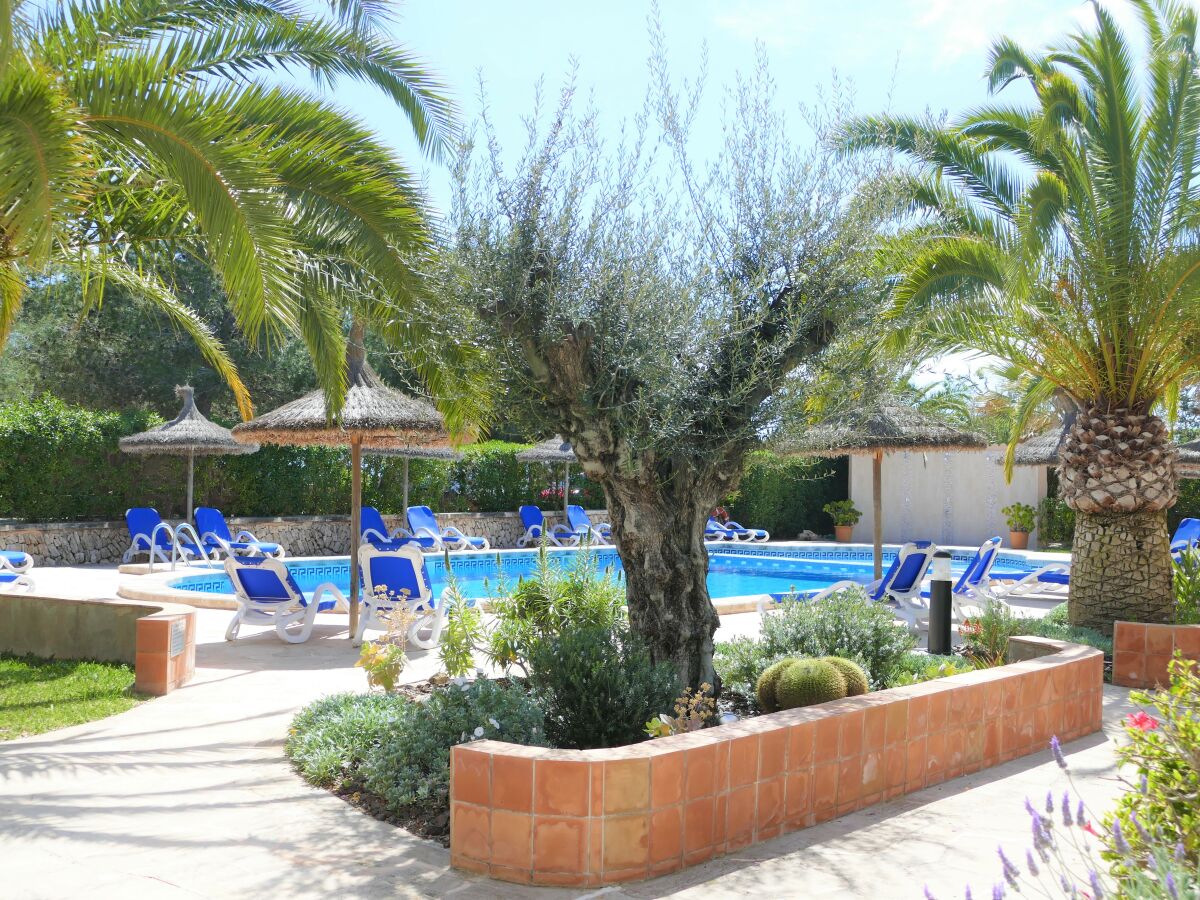 Apartment Buena Vista in Bella Vista - ETVPL/13097 - Outdoor photo 4