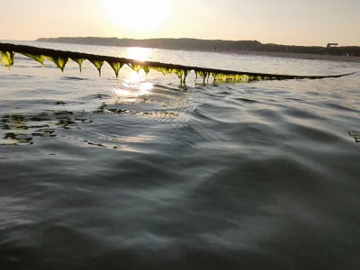 Holiday apartment Onnen 3 - Environment photo 20