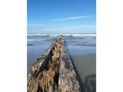 Holiday apartment Onnen 3 - Environment photo 22