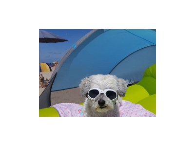 Villa Poppy - Environment photo 27