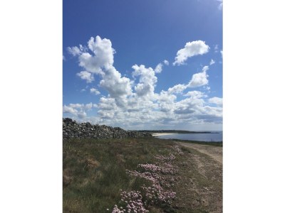 Holiday house Ker Coz - Environment photo 21