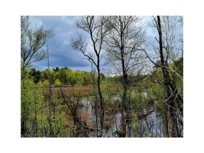 Holiday house IQBAL-Hut (the moorpearl!) - Environment photo 40