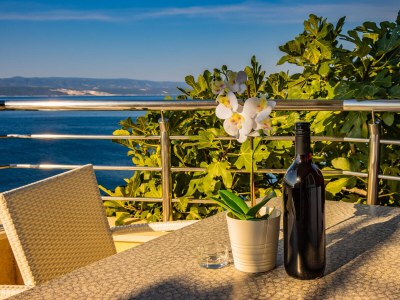 Holiday apartment 1 Villa Opera - Outdoor photo 14