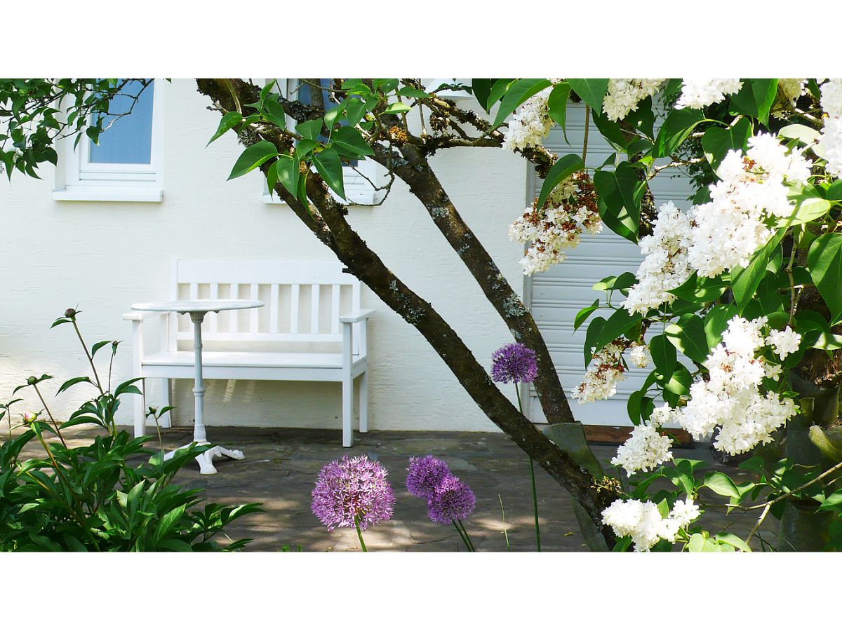 Holiday apartment Trappen - Outdoor photo 2