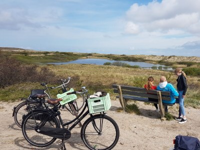 Holiday house luxury villa texel 8-10 persons with sauna krim 95 - Environment photo 34