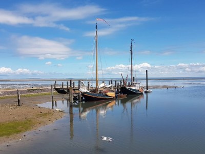 Holiday house luxury villa texel 8-10 persons with sauna krim 95 - Environment photo 39