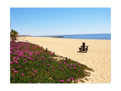 Holiday apartment Shamrock - Environment photo 21