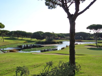 Holiday apartment Dublin - Environment photo 31