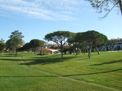 Holiday apartment Young - Environment photo 19