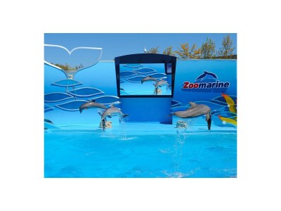 Holiday apartment Young - Environment photo 22