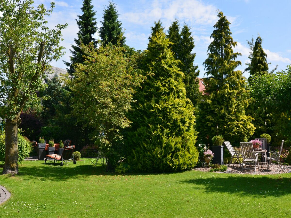 Apartment Ferienwohnung in Madfeld nahe Wald - Outdoor photo 4