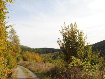 Apartment Ferienwohnung in Madfeld nahe Wald - Environment photo 16