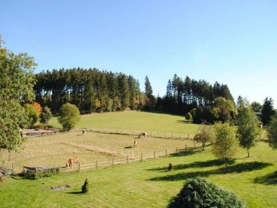 Apartment Ferienwohnung in Madfeld nahe Wald - Environment photo 19