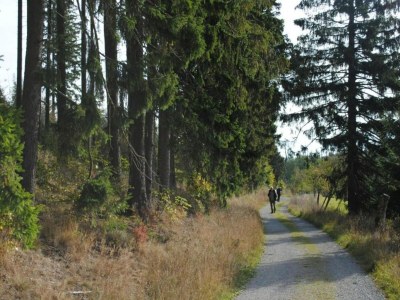 Apartment Ferienwohnung in Madfeld nahe Wald - Environment photo 21