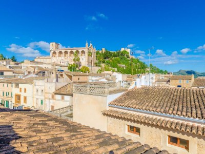 Chalet Roser (Roser De Artà) - Environment photo 38