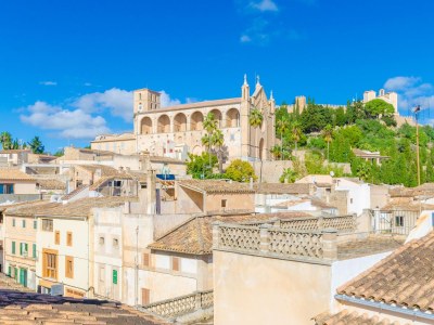 Chalet Roser (Roser De Artà) - Environment photo 40