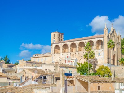 Chalet Roser (Roser De Artà) - Environment photo 41