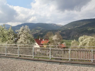 Holiday apartment Gritzner - Outdoor photo 6