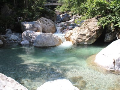 Holiday apartment Gritzner - Environment photo 19