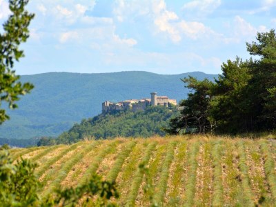 Villa Authentic sheepfold close to a charming village. - Outdoor photo 6