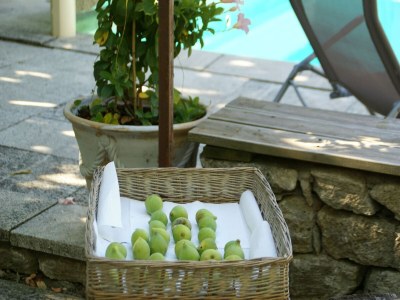 Villa Authentic sheepfold close to a charming village. - Outdoor photo 39