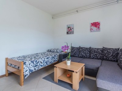 Apartment Koseto Tar - One-Bedroom Apartment No.2 with Balcony - Features photo 18