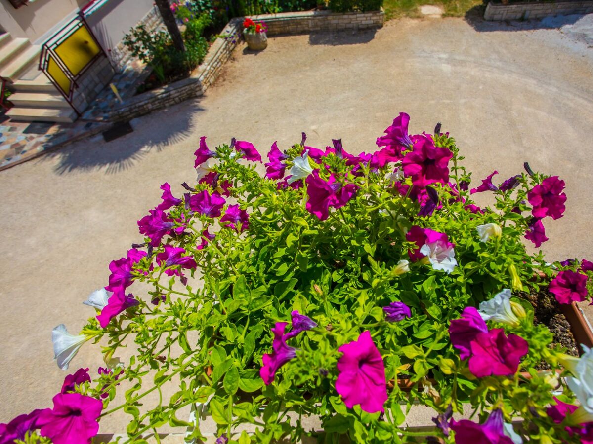 Apartment Koseto Tar - Apartment No.3 on the First Floor with Balcony - Outdoor photo 5