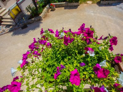 Apartment Koseto Tar - Apartment No.3 on the First Floor with Balcony - Outdoor photo 5