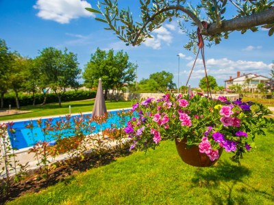 Apartment House Ema - Apartment Jakici No.1 with Pool View - Outdoor photo 10