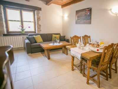 Apartment House Ema - Apartment Jakici No.1 with Pool View - Features photo 20