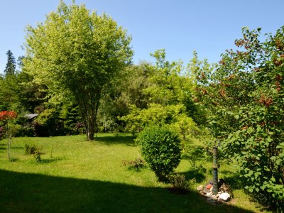 Holiday apartment Gartenparadies - Outdoor photo 3