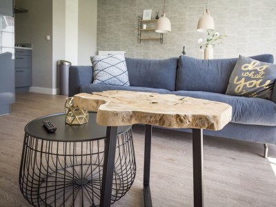 Farmhouse Apartment in tasteful farmhouse in De Cocksdorp - Features photo 8