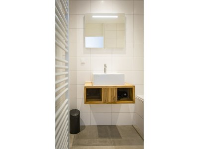 Farmhouse Apartment in tasteful farmhouse in De Cocksdorp - Features photo 12