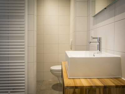 Farmhouse Apartment in tasteful farmhouse in De Cocksdorp - Features photo 15