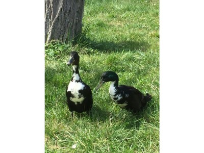 Holiday apartment St. Willibald - Outdoor photo 7