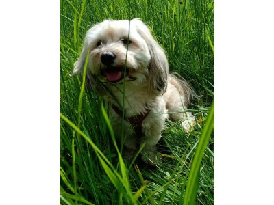 Holiday apartment St. Willibald - Outdoor photo 8