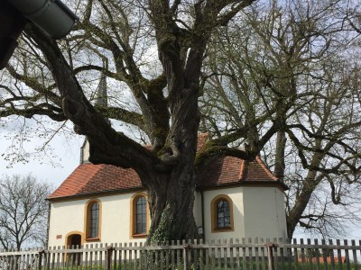 Holiday apartment St. Willibald - Environment photo 20