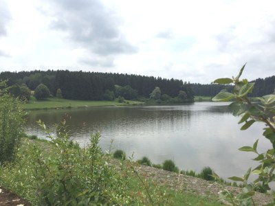 Holiday apartment St. Willibald - Environment photo 21