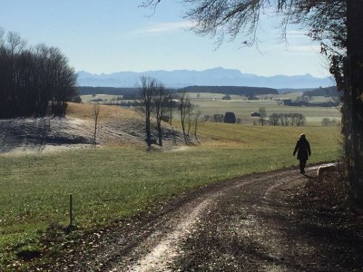 Holiday apartment St. Willibald - Environment photo 25