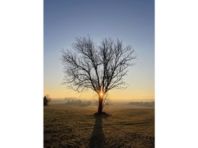 Holiday apartment St. Willibald - Environment photo 29