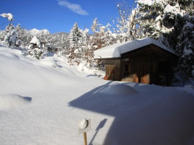 Cottage Landhaus Hirschwiesn - Outdoor photo 7