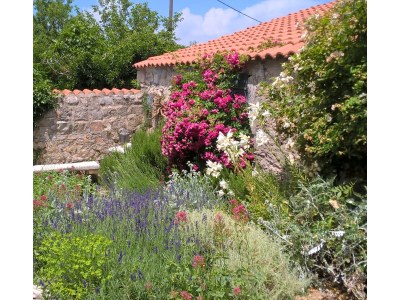 Cottage Casa Levanda - Outdoor photo 8