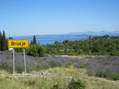 Cottage Casa Levanda - Environment photo 26